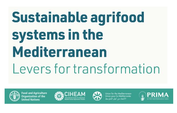 Actualización de la versión “Sustainable agrifood systems in the Mediterranean: levers for transformation”